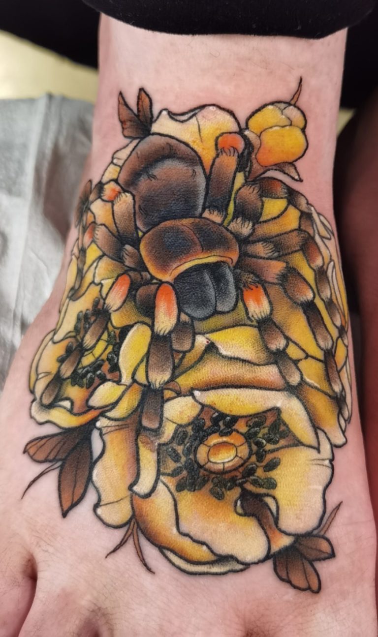 tatouage neo traditionnel araignée couleur