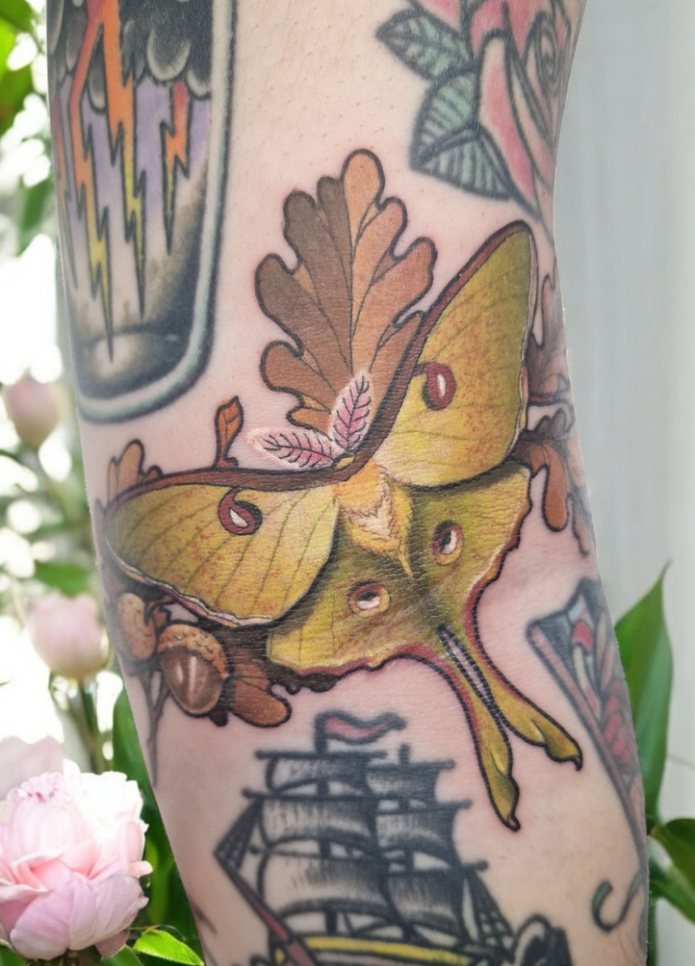 tatouage papillon couleur