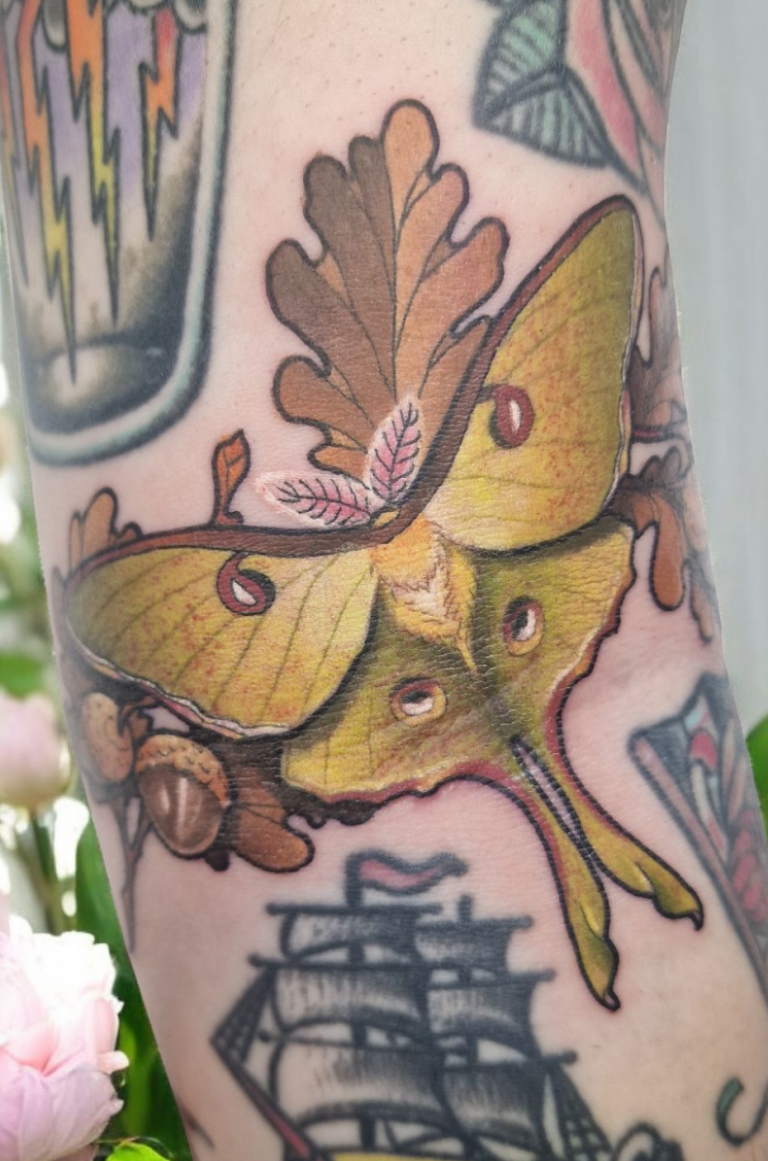 tatouage papillon lune neo traditionnel couleur joon tattoo